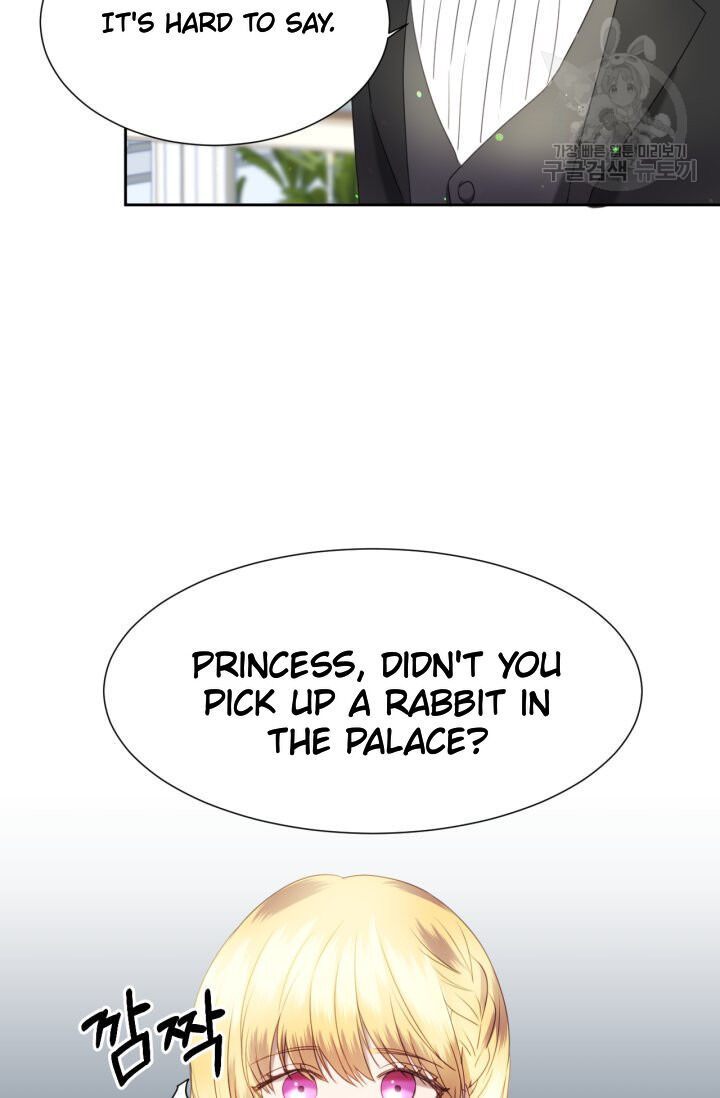 The Fake Princess’ Op Bunny Chapter 13 - BidManga.com