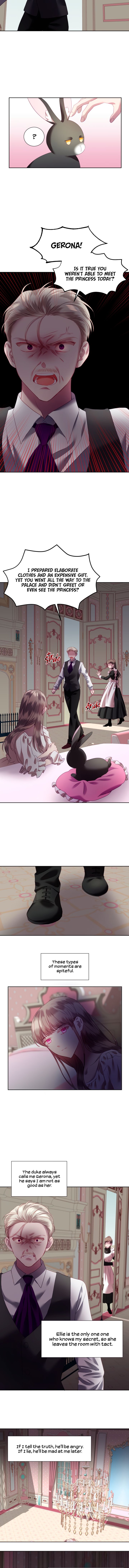 The Fake Princess’ Op Bunny Chapter 2 - BidManga.com