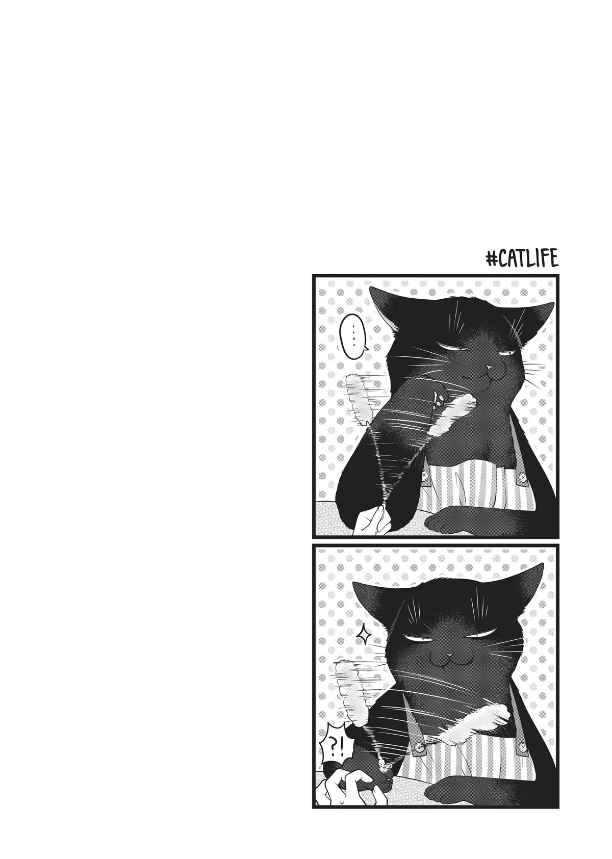 The Deceitful Cat Is Depressed Again Today Chapter 25 - BidManga.com