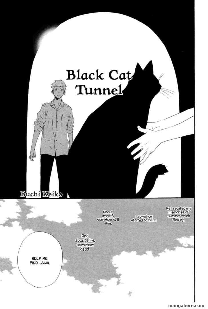 Black Cat Tunnel Chapter 1 - BidManga.com