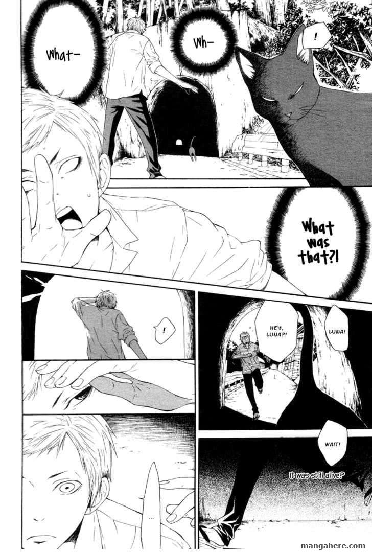 Black Cat Tunnel Chapter 1 - BidManga.com